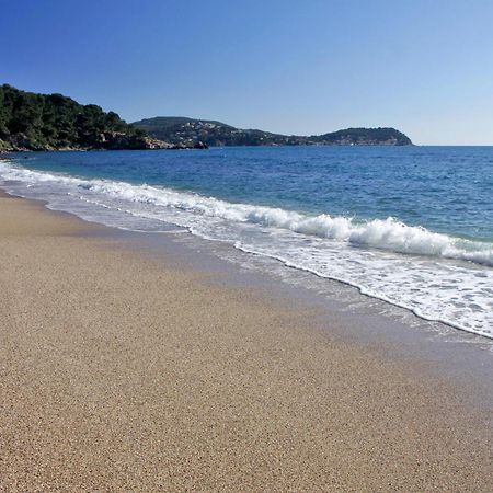A Deux Pas De La Plage De Sable Le Pradet Dış mekan fotoğraf